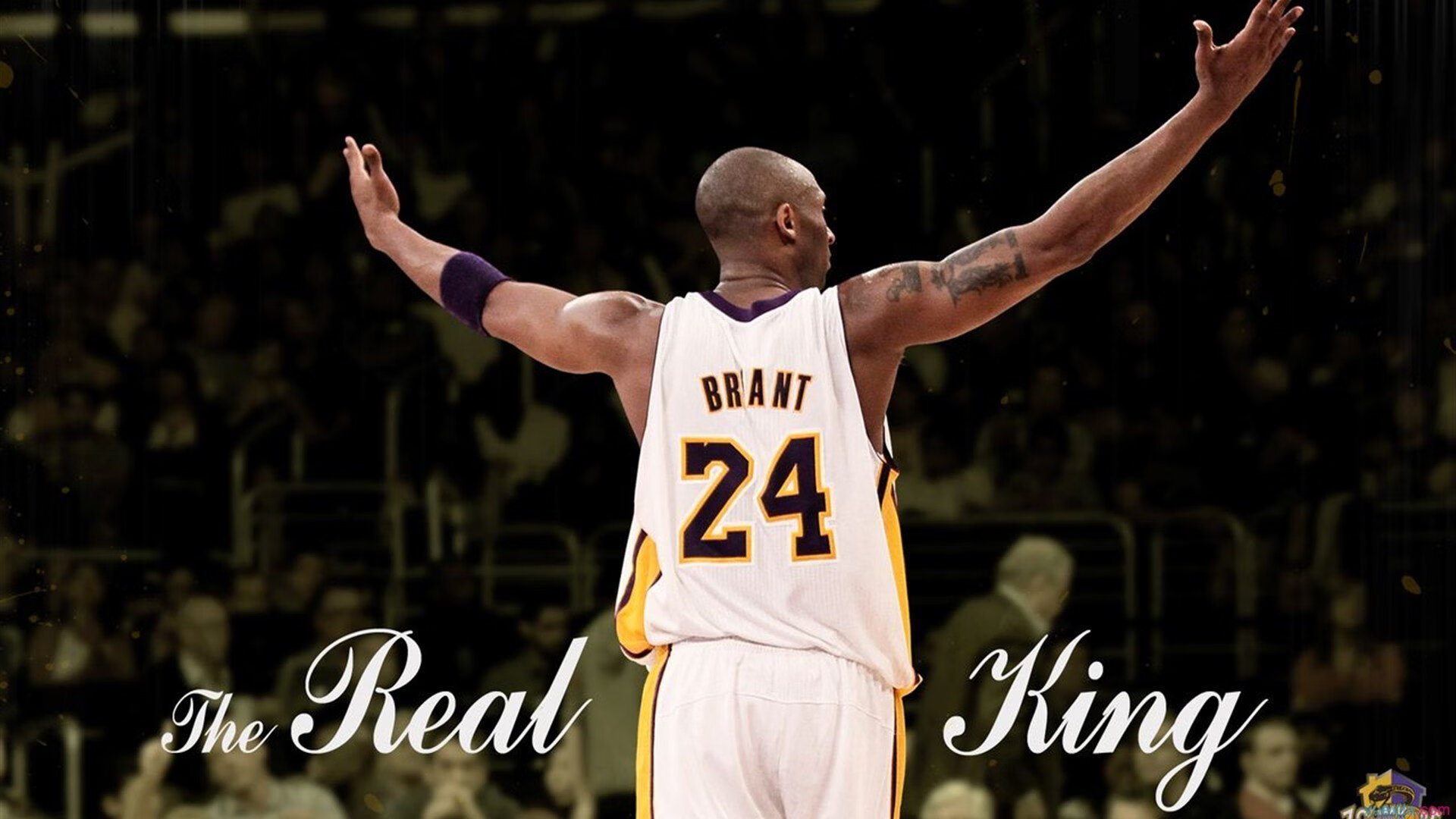 开云体育移动版-城市篮球新星争霸赛，青春的火花在场上绽放，城市篮球挑战赛